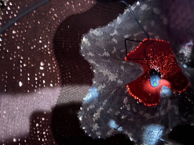 Cocoons interior